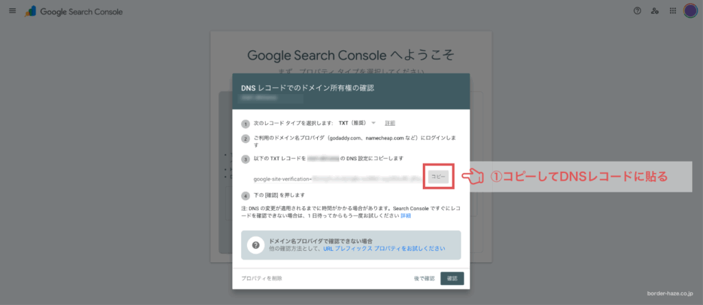 TXTレコードをコピーするイメージ